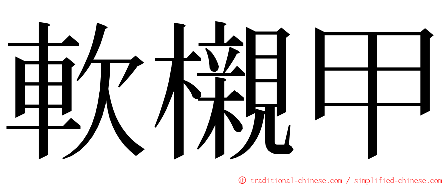 軟櫬甲 ming font