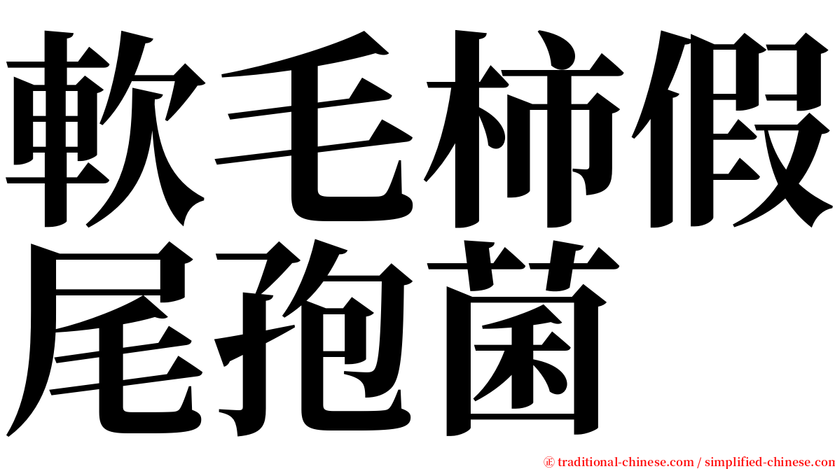 軟毛柿假尾孢菌 serif font