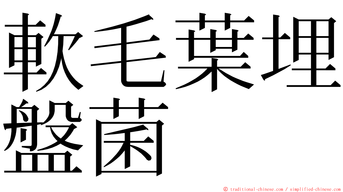 軟毛葉埋盤菌 ming font