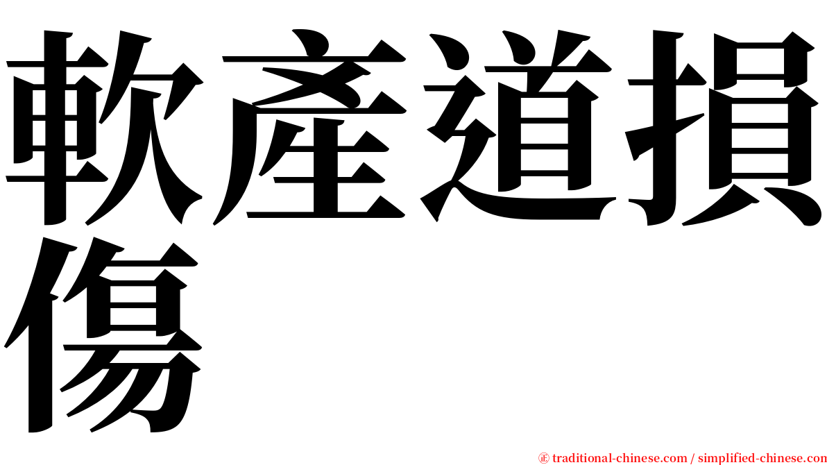 軟產道損傷 serif font