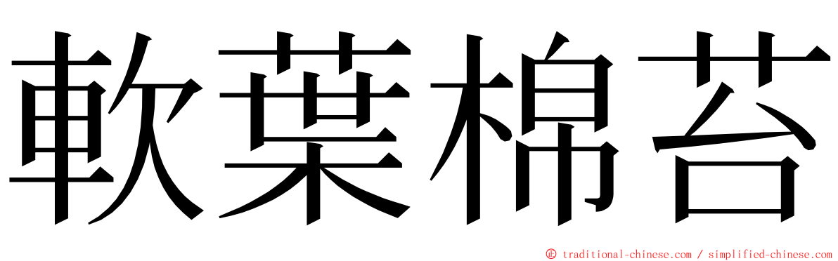 軟葉棉苔 ming font