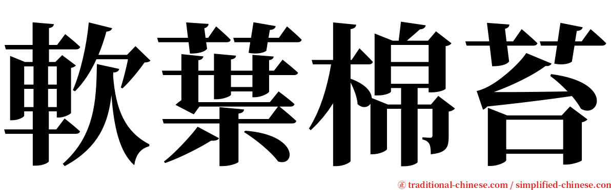 軟葉棉苔 serif font