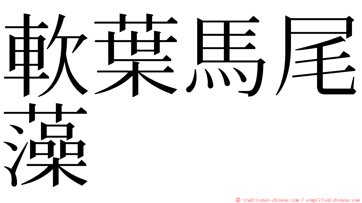 軟葉馬尾藻 ming font