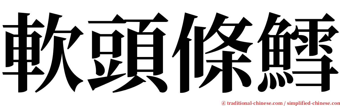 軟頭條鱈 serif font