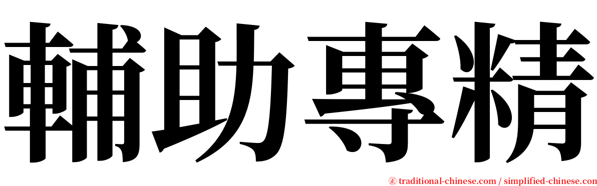 輔助專精 serif font