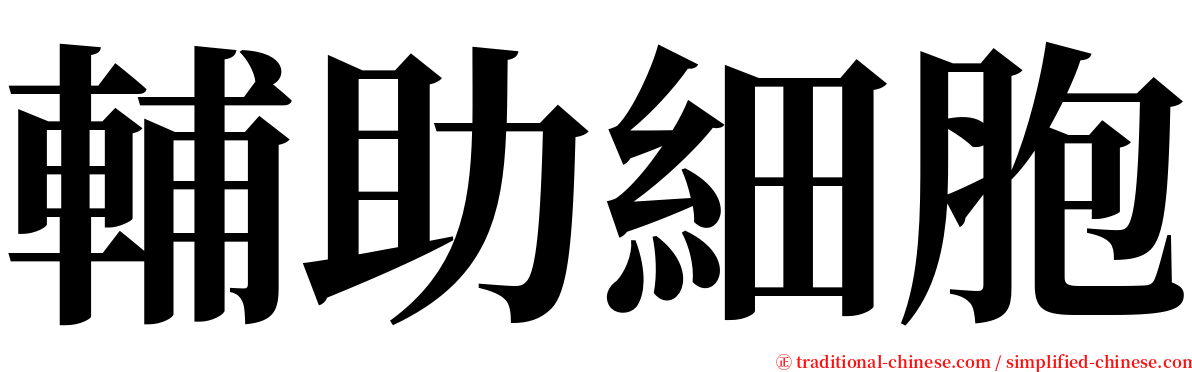 輔助細胞 serif font