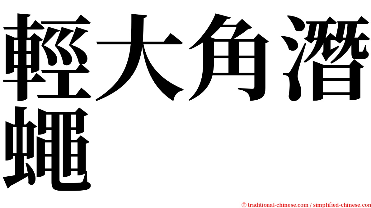 輕大角潛蠅 serif font