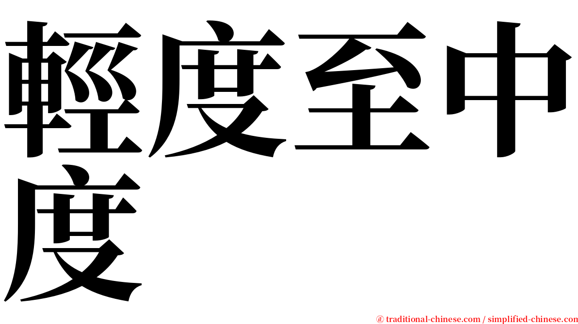 輕度至中度 serif font