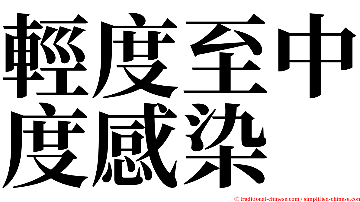 輕度至中度感染 serif font