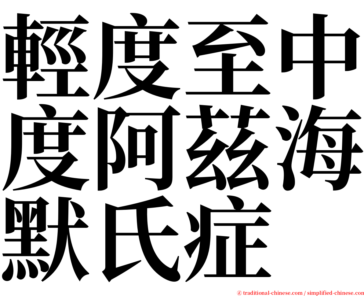 輕度至中度阿茲海默氏症 serif font