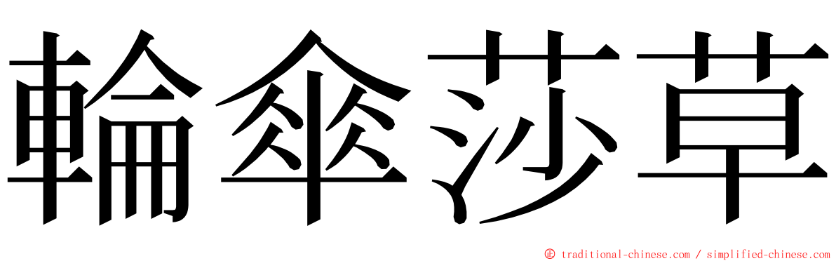 輪傘莎草 ming font