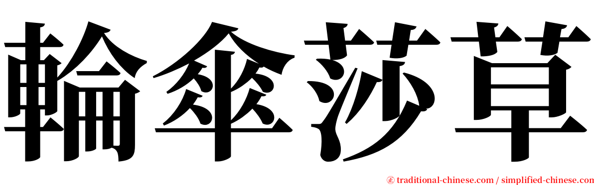 輪傘莎草 serif font