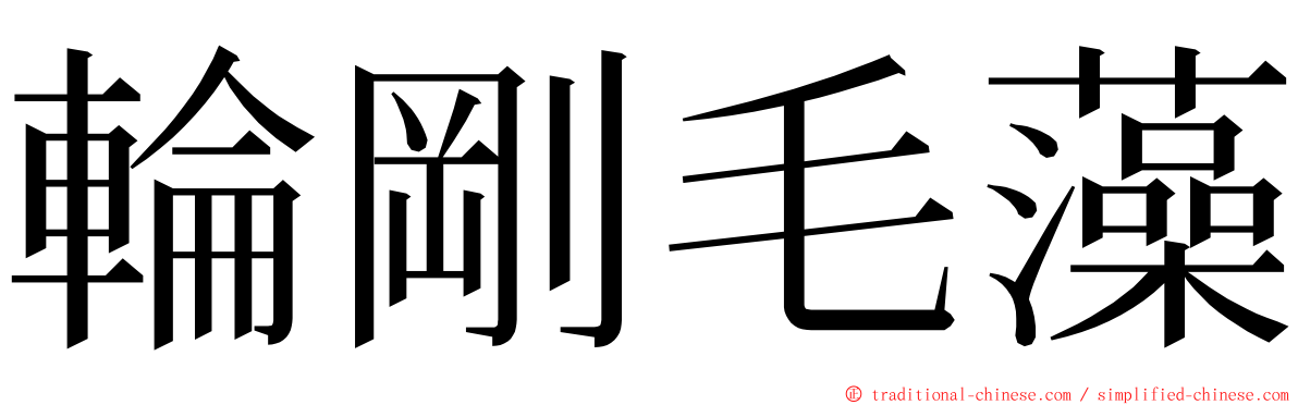 輪剛毛藻 ming font