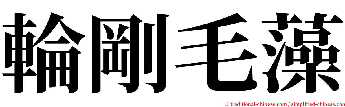 輪剛毛藻 serif font