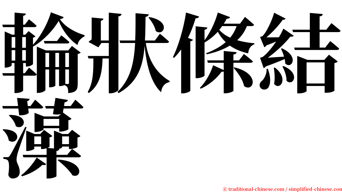 輪狀條結藻 serif font