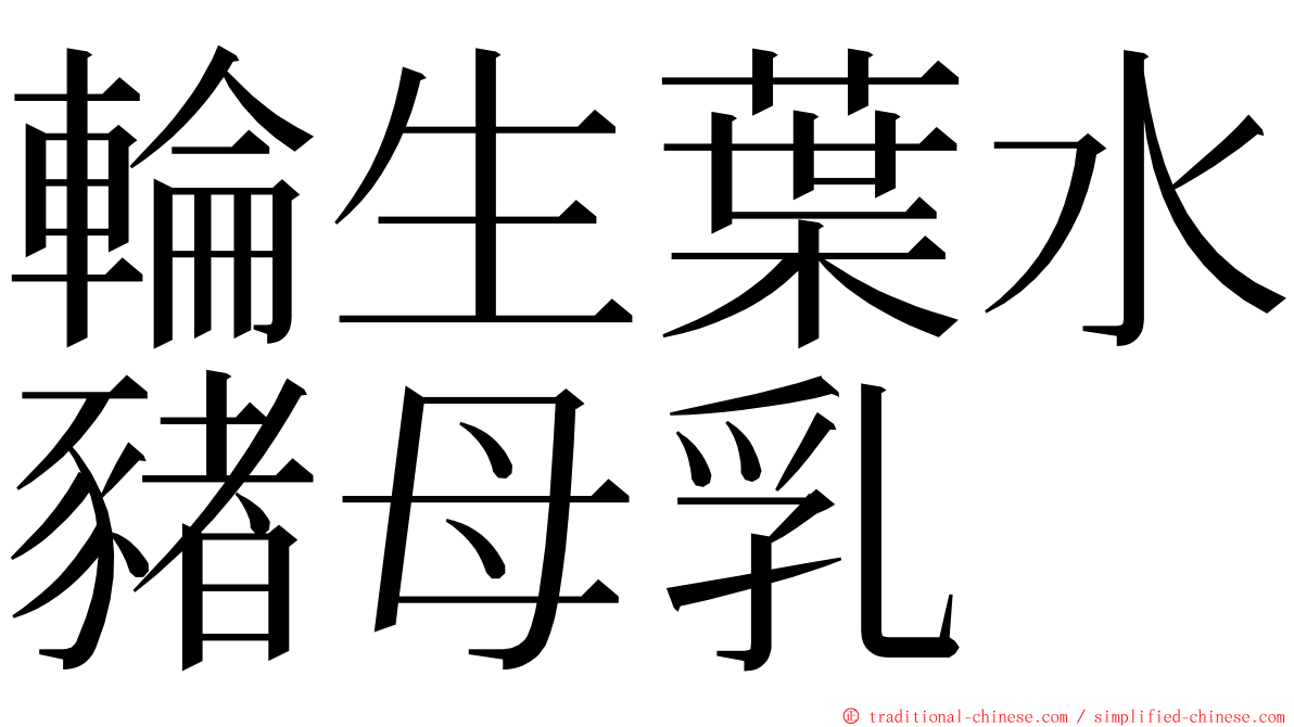 輪生葉水豬母乳 ming font