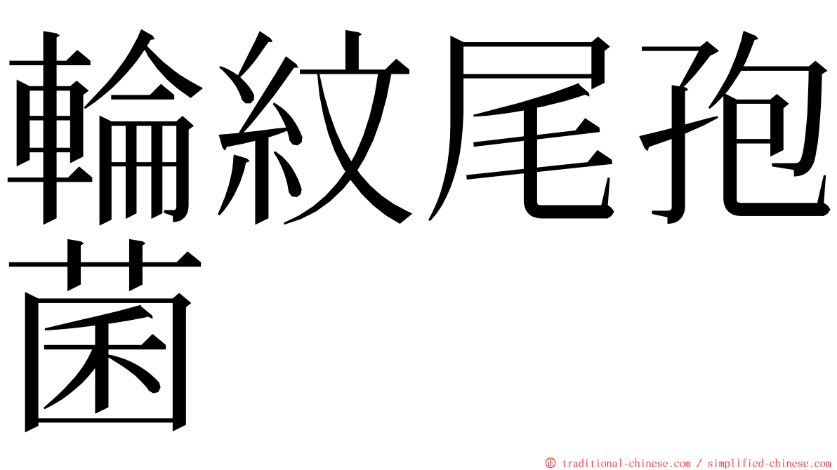 輪紋尾孢菌 ming font