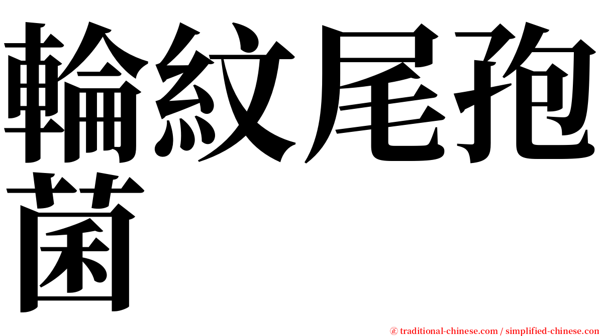 輪紋尾孢菌 serif font