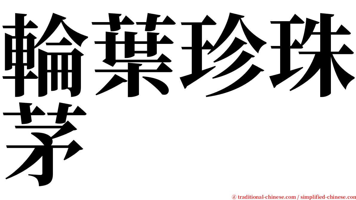 輪葉珍珠茅 serif font