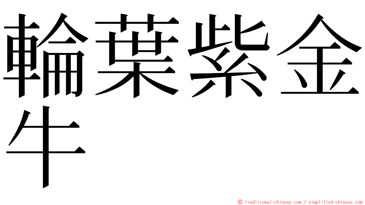 輪葉紫金牛 ming font