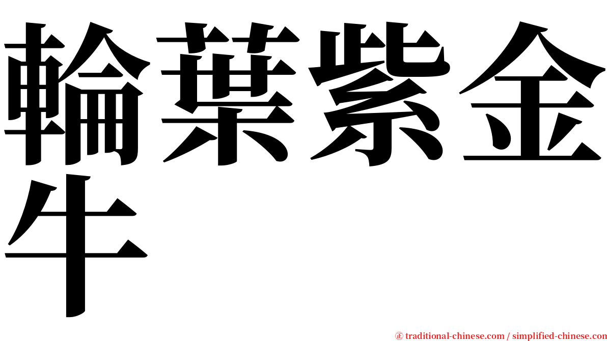 輪葉紫金牛 serif font