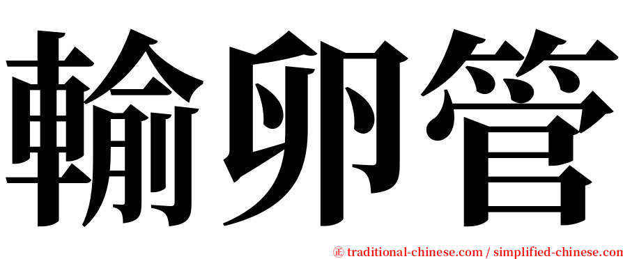 輸卵管 serif font