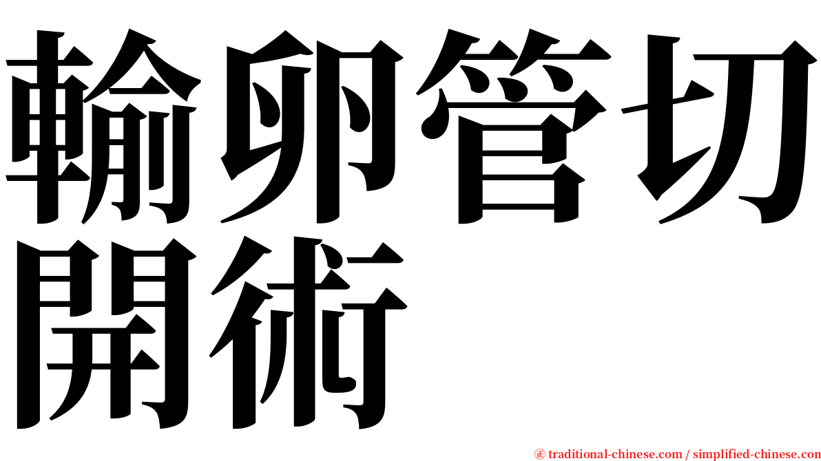 輸卵管切開術 serif font