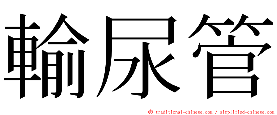 輸尿管 ming font