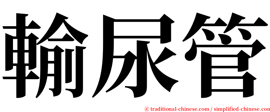 輸尿管 serif font