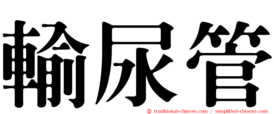 輸尿管