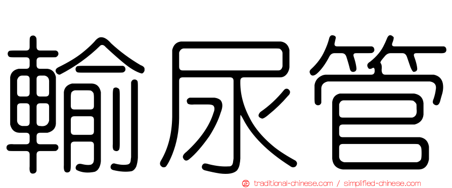 輸尿管