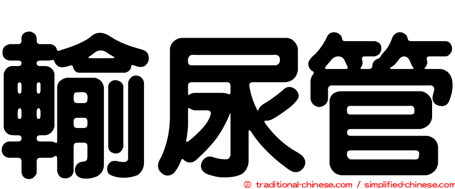 輸尿管