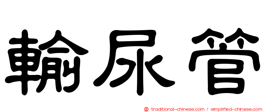 輸尿管