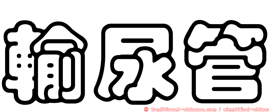 輸尿管