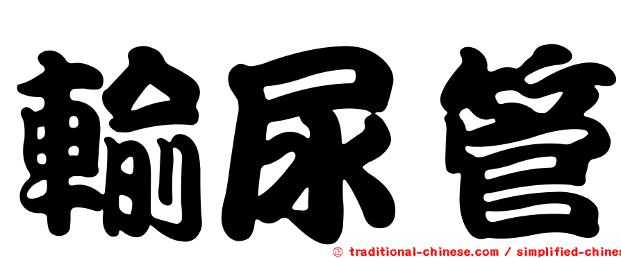 輸尿管