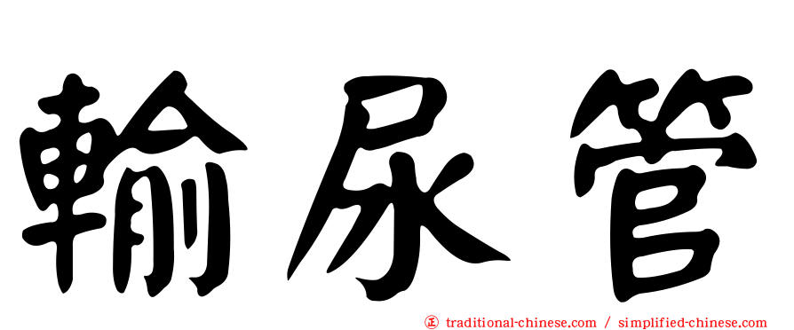 輸尿管