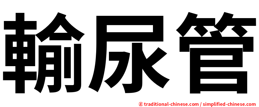 輸尿管