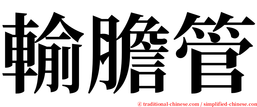 輸膽管 serif font