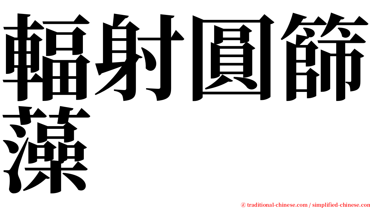 輻射圓篩藻 serif font