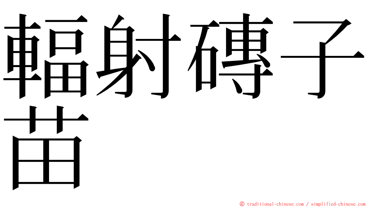 輻射磚子苗 ming font