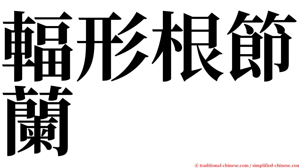 輻形根節蘭 serif font