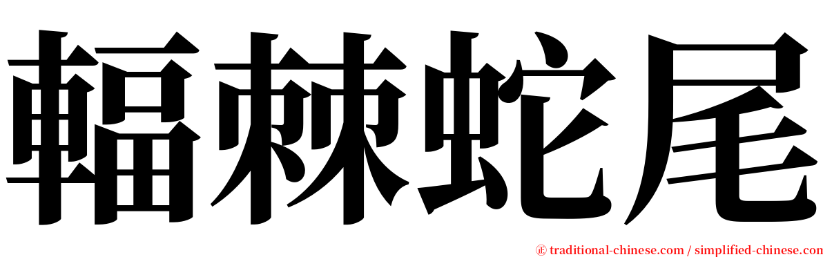 輻棘蛇尾 serif font