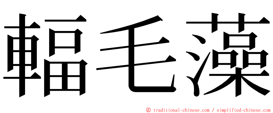 輻毛藻 ming font