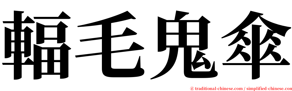 輻毛鬼傘 serif font