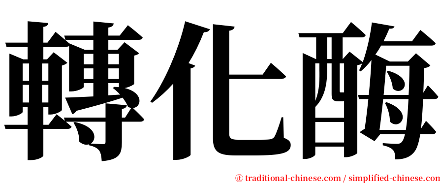 轉化酶 serif font