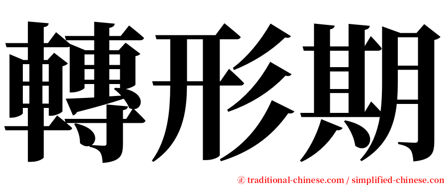 轉形期 serif font