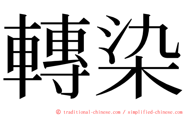 轉染 ming font