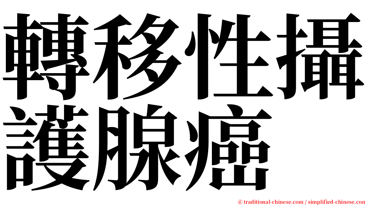 轉移性攝護腺癌 serif font