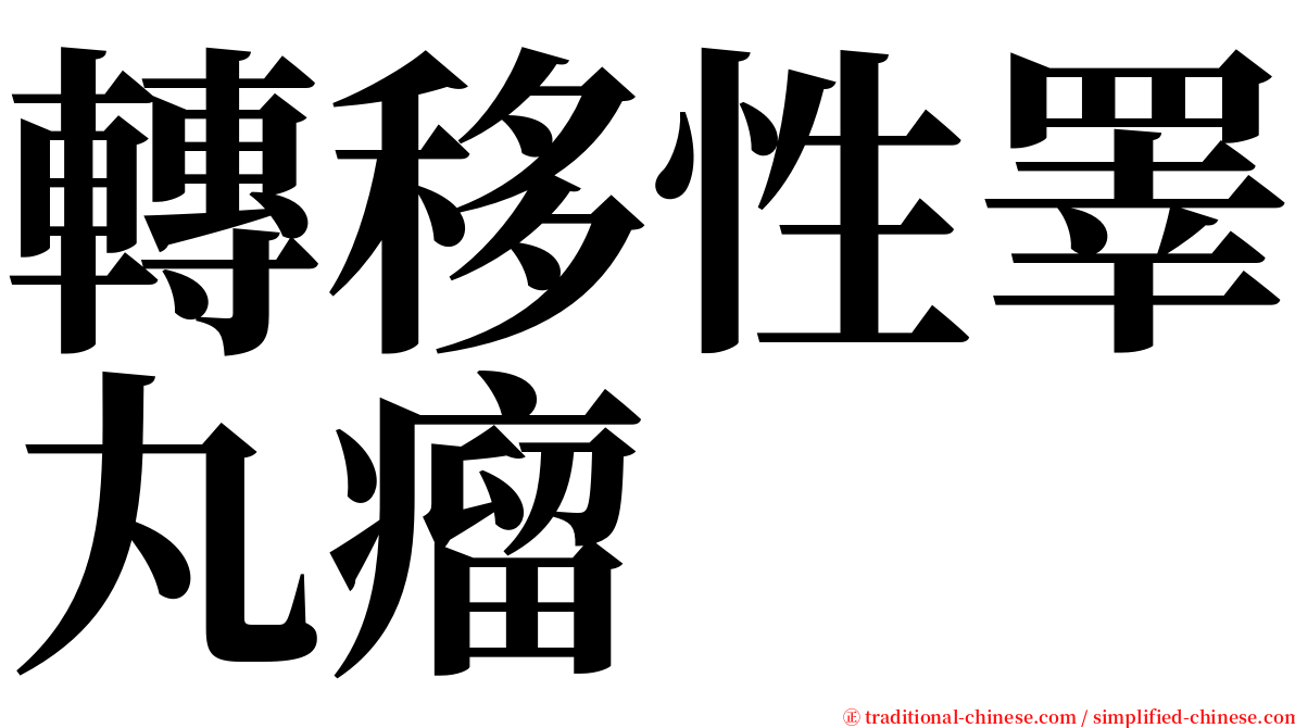 轉移性睪丸瘤 serif font