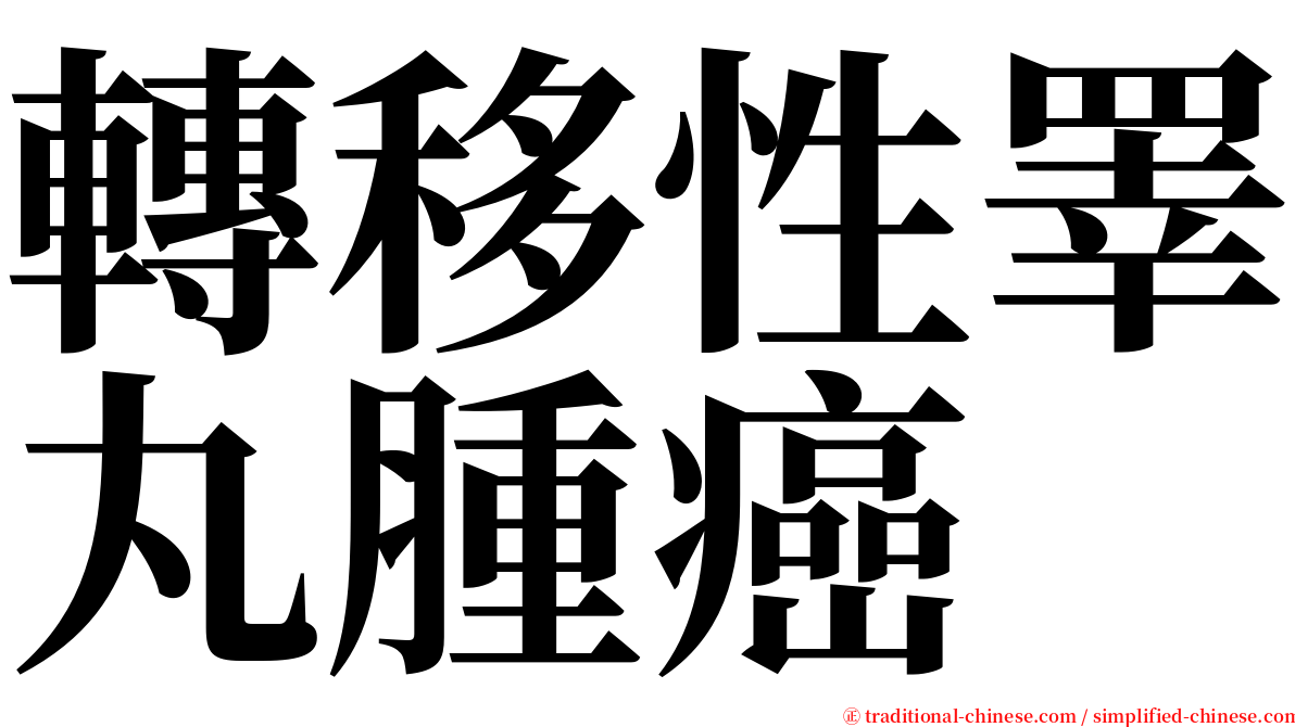 轉移性睪丸腫癌 serif font